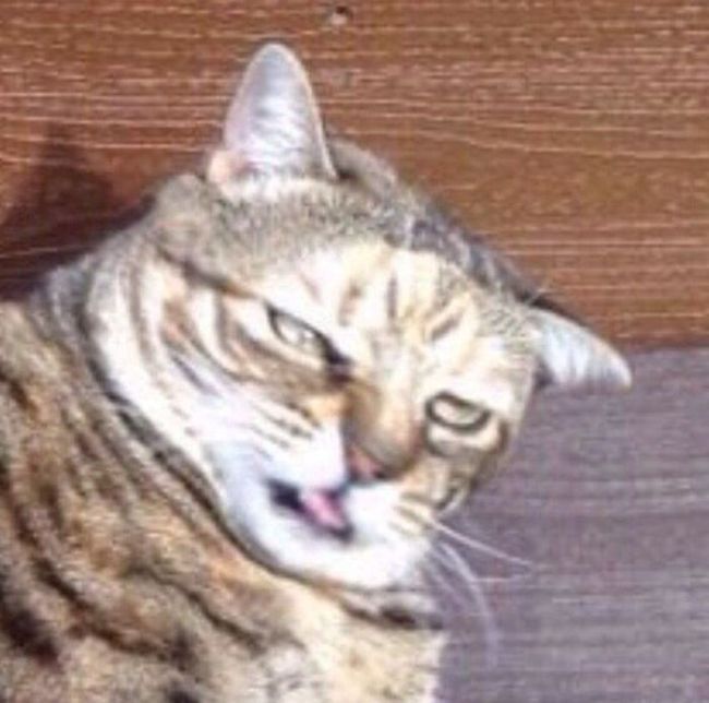 Константин